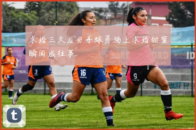 求婚三天后分手球员场上求婚甜蜜瞬间成往事